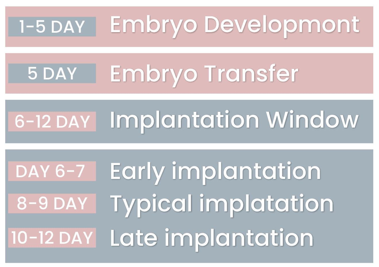 blastocyst-implantation-timeline