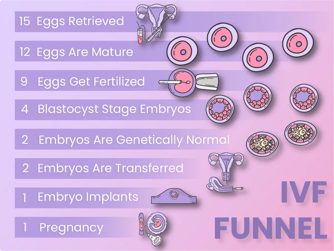 IVF success rates