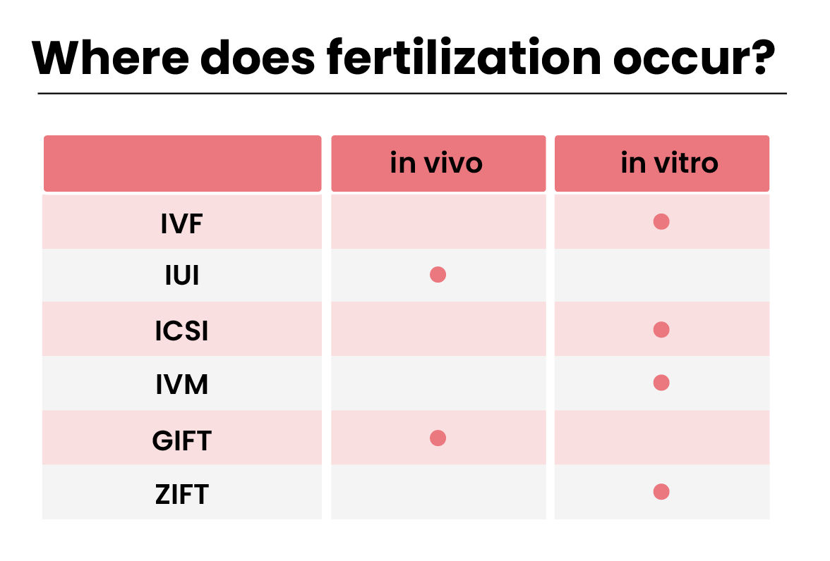where-does-fertiliztion-occur-table